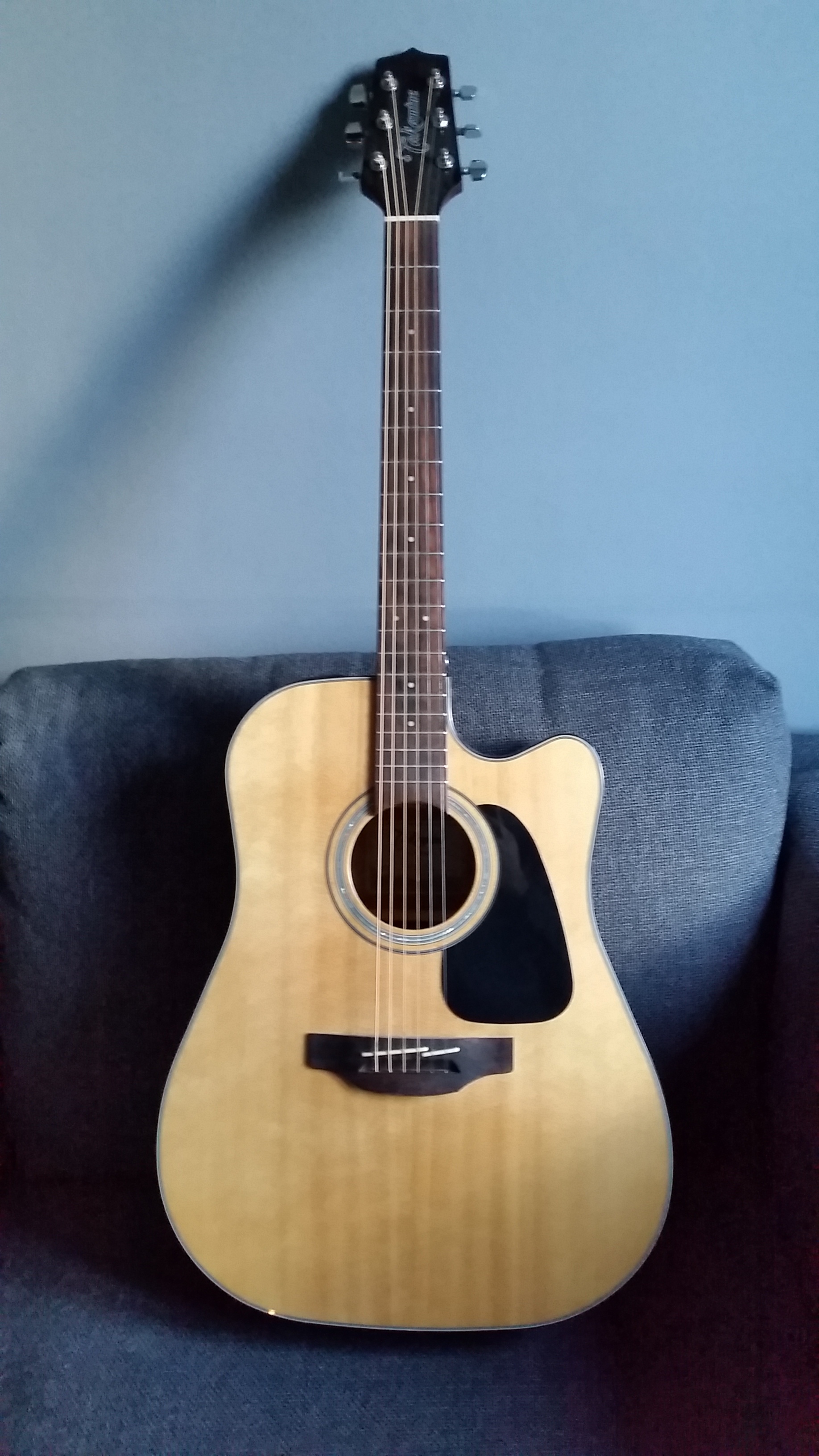 Takamine GD30CE