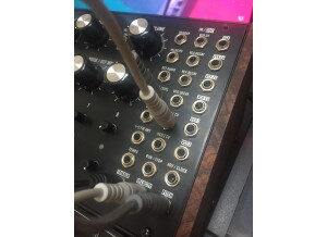 Moog Music DFAM (Drummer From Another Mother) (57150)