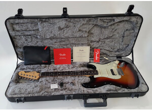 Fender American Professional Stratocaster HSS Shawbucker (677)