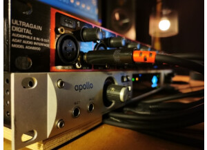 Universal Audio Apollo FireWire (23989)