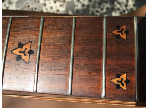 Adamas Guitars 1687