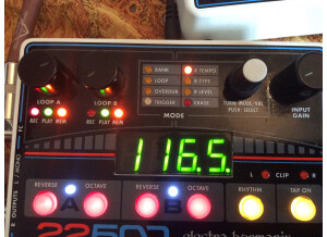 Electro-Harmonix 22500 Dual Stereo Looper (76355)