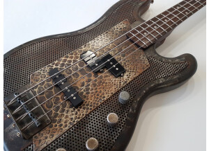 James Trussart SteelCaster Bass