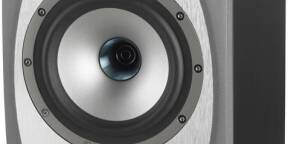 Vends 2 Enceintes Tannoy Precision 6D