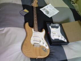 EMG DG20 David Gilmour