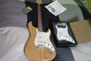 EMG DG20 David Gilmour