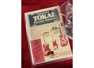 Tokai Hard Puncher (79072)