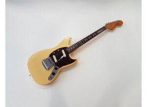 Fender MG65 (7948)