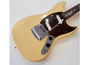 Fender MG65 (98589)