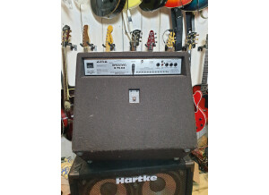 Fender Bassman 150 (14348)