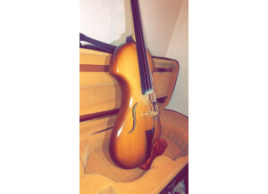 Fender FV-3 Deluxe Violin