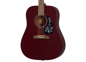 Epiphone Starling