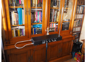 Moog Music Etherwave Theremin Standard (7745)