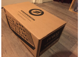 Moog Music Subharmonicon (97654)