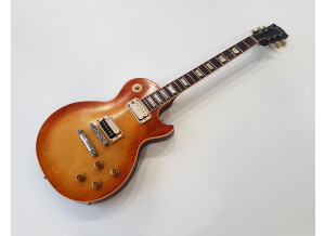 Gibson Les Paul Standard Faded '50s Neck (57254)