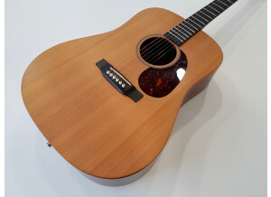 Martin & Co DX1AE (7726)