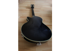 Gibson Les Paul Standard (12096)