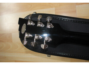Gibson Les Paul Standard (84900)