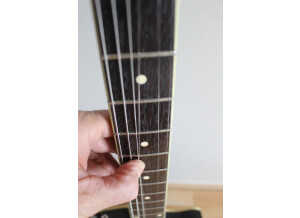 Gibson Les Paul Standard (79229)