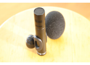 Beyerdynamic M 201 TG (6840)