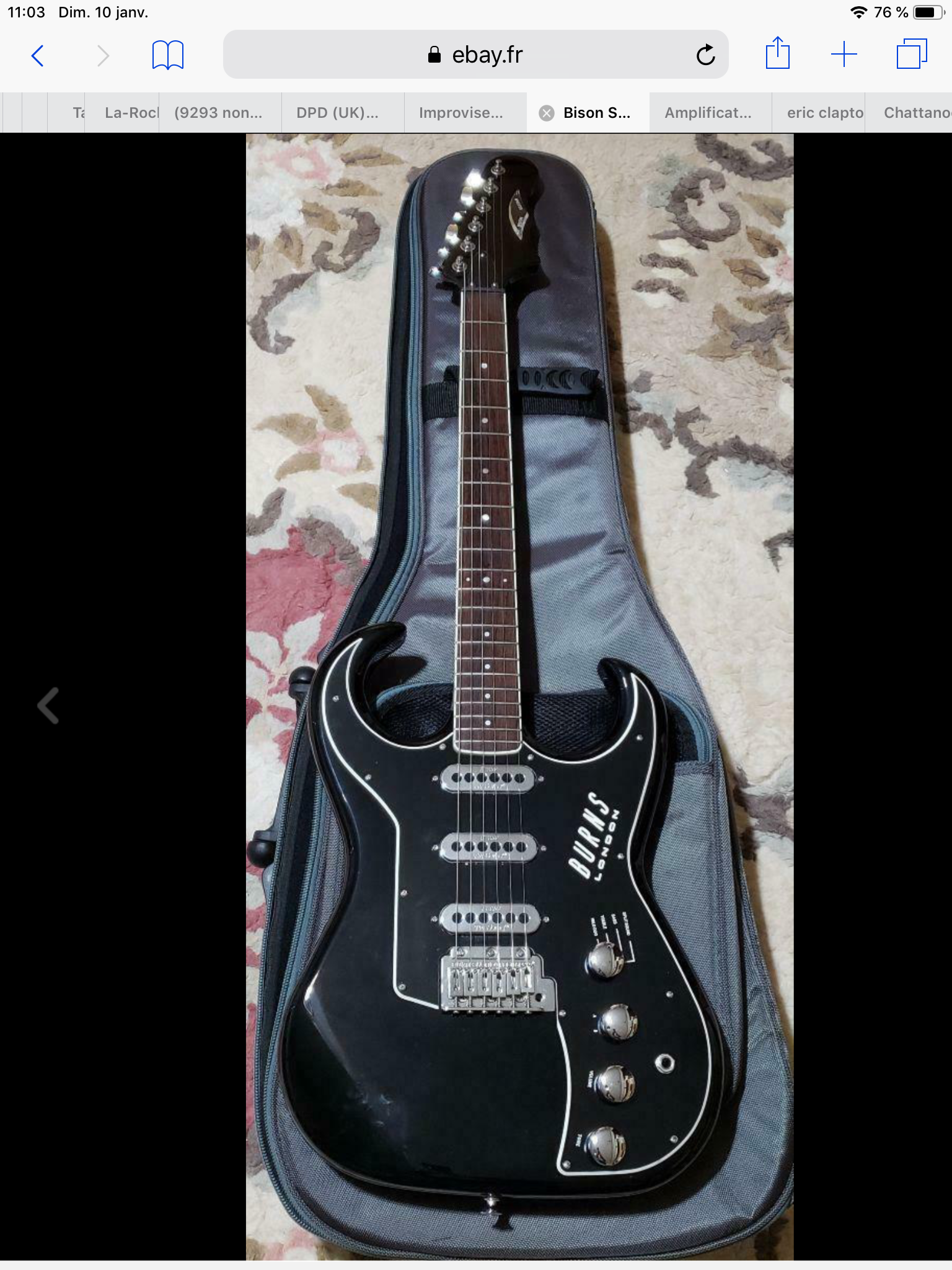 Burns Guitars The Bison