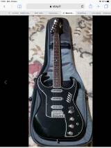 Burns Guitars The Bison