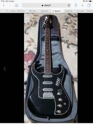 Burns Guitars The Bison