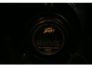 Peavey Studio Pro 112 (Transtube) (31193)