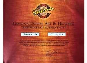 Gibson Flying V Faded 3-Pickup