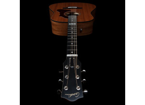 Godin Metropolis Composer LR Baggs Element