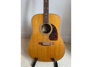 Epiphone Masterbilt DR-500M