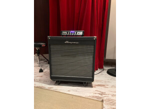 Ampeg PF-115LF (24403)