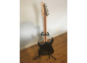 Ibanez RGIR20FE