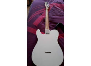 Fender Standard Telecaster [2009-2018] (28817)