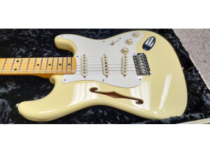 Fender Eric Johnson Signature Stratocaster Thinline (42310)