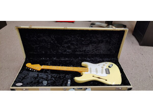 Fender Eric Johnson Signature Stratocaster Thinline