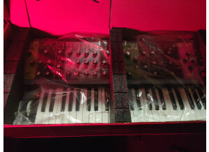 Moog Music Matriarch (59440)