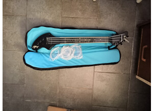 Fender Ashbory Bass (8963)