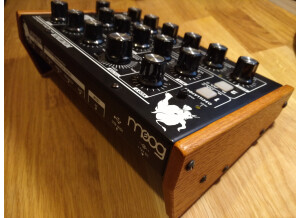 Moog Music Minitaur (1307)