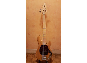 Sx Guitars SBG2 (68465)