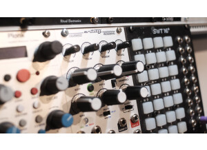 Steady State Fate Entity Percussion Synthesizer (58362)