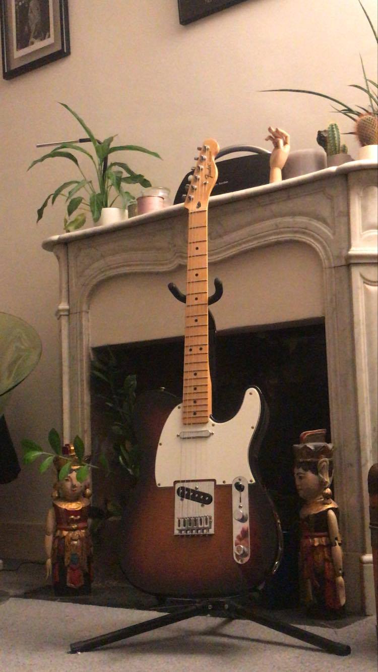 Fender Standard Telecaster [2009-2018]