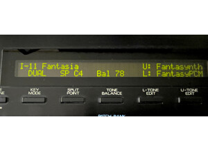 Roland D-50 (72070)
