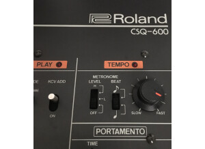 Roland CSQ-600 (3550)