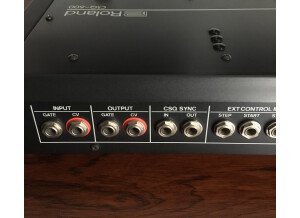 Roland CSQ-600 (64837)