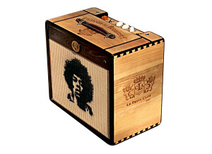 Ashen Amps Goldy Handwired (98451)