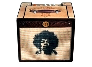 Ashen Amps Goldy Handwired (61375)