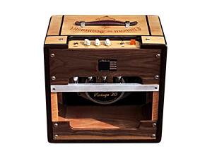 Ashen Amps Goldy Handwired (76443)