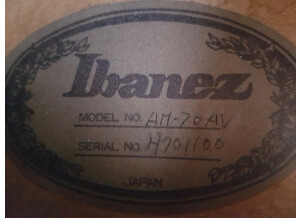 Ibanez AM70 (60741)