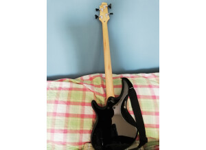 Cort Action (36994)